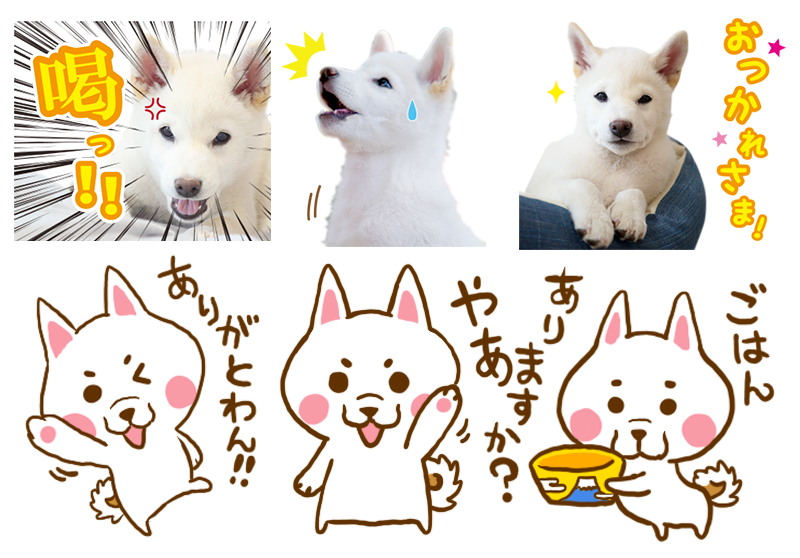 シークレットキューブのLINEスタンプ制作